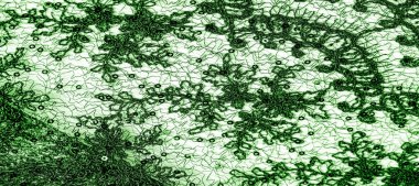 Doku, desen, beyaz bir arka plan üzerinde yeşil dantel kumaş. Bu orta ağırlık ince ve şık dantel ve tasarım için mükemmel, arka planlar için bindirmeler, diğer aksan