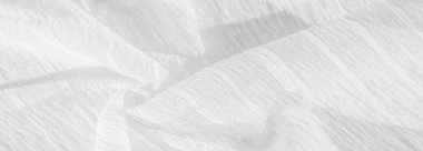 doku, arkaplan, desen, koleksiyon, buruşuk ipek kumaş hayalet beyazı. Üç Boyutlu