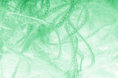 Örgü yeşilli kumaş. Dekorasyon ve tasarım için ruhani parlaklık bir çizgi ekleyin, bu kumaş zengin, zengin ve parlak bir ton vermek için iplikleri içine küçük ışıltılar Ton glitter.