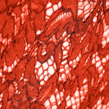 Doku, arkaplan, desen, kırmızı dantel kumaş, kabartmalı dantel kumaş, her iki kenarda da istiridye. Projeleriniz için uygun, tasarım, vs..