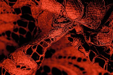 Doku, arkaplan, desen, kırmızı dantel kumaş, kabartmalı dantel kumaş, her iki kenarda da istiridye. Projeleriniz için uygun, tasarım, vs..