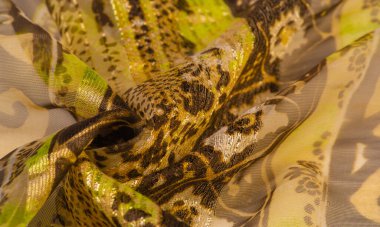 Doku, desen, arkaplan, koleksiyon, ipek kumaş, kadın narin atkı, yeşil-kahverengi renk, soyut baskı, zarif tasarım.