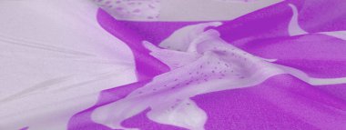 Doku, arka plan, desen, ipek kumaş, Gümüş arka plan üzerinde Mor. Projektörler, pastel renklerde bu hassas kumaş yanılsama ve fantezi neden olacak pasifize olacak.