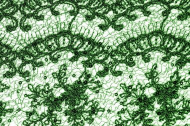 Doku, desen, beyaz bir arka plan üzerinde yeşil dantel kumaş. Bu orta ağırlık ince ve şık dantel ve tasarım için mükemmel, arka planlar için bindirmeler, diğer aksan