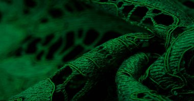 Doku, arkaplan, desen, yeşil dantel kumaş, kabartmalı dantel kumaş, her iki tarafında da istiridye var. Projeleriniz için uygun, tasarım, vs..