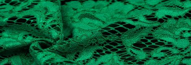 Doku, arkaplan, desen, yeşil dantel kumaş, kabartmalı dantel kumaş, her iki tarafında da istiridye var. Projeleriniz için uygun, tasarım, vs..