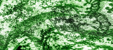 Doku, desen, beyaz bir arka plan üzerinde yeşil dantel kumaş. Bu orta ağırlık ince ve şık dantel ve tasarım için mükemmel, arka planlar için bindirmeler, diğer aksan