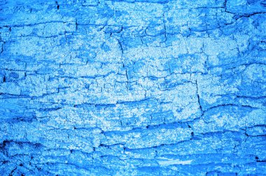 Doku, arkaplan, şablon, his, görünüş veya bir maddenin dokusu. Ağaç kabuğu