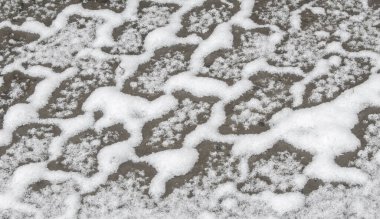 Sezonun ilk karı, kışın şekerle toz almak için sonbaharda geldi. Güneşin değdiği yerde eridi, kar gölgede kaldı, kışı aydınlattı..