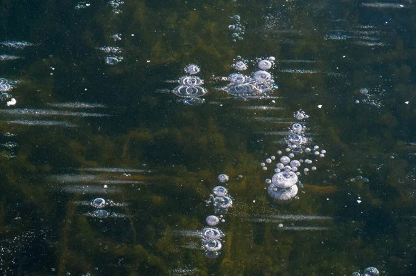 Texturmuster Hintergrund Weiß Winter Fluss Eis Luftblasen Stagnieren Bildete Sich — Stockfoto