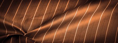 desenli çizim, kompozit tekstil, ince beyaz şeritli asil yeşil ipek kumaş, bazı malzeme ve bileşenlerin doğası; bütünün ya da karışımın bütünlüğü.