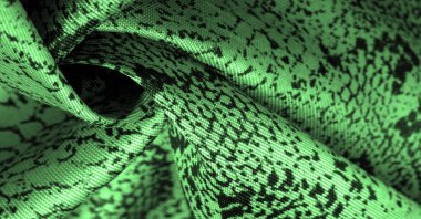 Doku, arka plan, desen, yeşil yılan derisi desenli kumaş, Afrika kumaşı, özel tasarım fotoğraf - Afrika ülkesinde safari