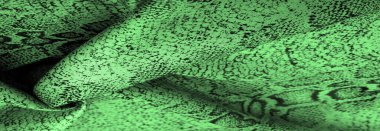 Doku, arka plan, desen, yeşil yılan derisi desenli kumaş, Afrika kumaşı, özel tasarım fotoğraf - Afrika ülkesinde safari