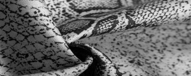 Doku, arka plan, desen, gri yılan derisi desenli kumaş, Afrika kumaşı, tasarım fotoğrafı - Afrika ülkesinde safari