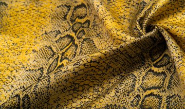 Doku, arkaplan, desen, kumaş, sarı yılan derisi deseni, Afrika kumaşı, tasarımcı fotoğrafı - Afrika ülkesinde safari