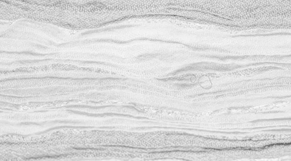 Texturmuster Hintergrund Ornament Seidenstoff Große Streifen Von Weißgrau Durch Einen — Stockfoto