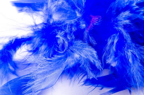 Tekstura Tło Rysunek Pióro Ptak Malowane Niebiesko Wspaniały Dodatek Każdego — Zdjęcie stockowe
