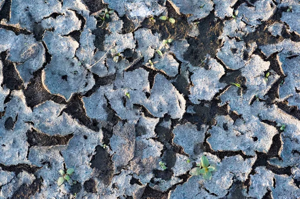 Tekstura Tło Wzór Ziemia Łamane Promieni Słonecznych Erozja Gleby Jasno — Zdjęcie stockowe