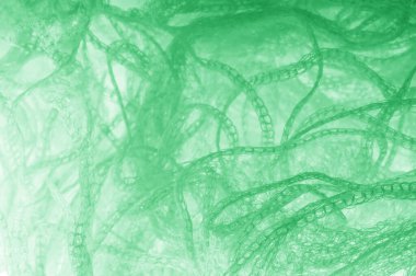 Örgü yeşilli kumaş. Dekorasyon ve tasarım için ruhani parlaklık bir çizgi ekleyin, bu kumaş zengin, zengin ve parlak bir ton vermek için iplikleri içine küçük ışıltılar Ton glitter.