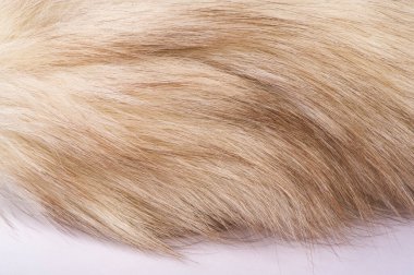 Doku arka planı, desen. Tilki kürkü, değerli kürklü kutup tilkisi. gri renk ve aynı zamanda kürk.