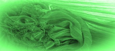 Doku, arkaplan, desen, küçük kıvrımlı yeşil ipek kumaş, toprak, bağlam, temel, folyo, alan