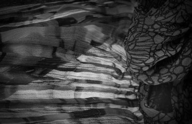 Arkaplan dokusu, siyah beyaz ipek kumaş, gümüş. Titanyum. Çiçek deseni, kıvrım, resif, dalgalanma, dalgalanma, kumaşın yüzeyinde küçük bir dalga ya da bir dizi dalga.,