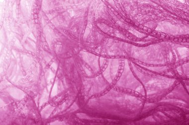 Pembe renk bir örgü kumaş. Bu tasarım için uygun bir mikro-ince örgü, duvar kağıdı yaratıcılık Bu çekici sıcak güç şebekesi için birçok uygulama bulacaksınız eminiz