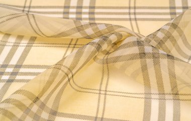 İpek kumaş şampanya (soluk fawn) Tartan kareli duvar kağıdı desenleri. İskoç damalı elbise. Klasik kumaşların tekstil modeli. Kumaş tekstil deseni çizimi.