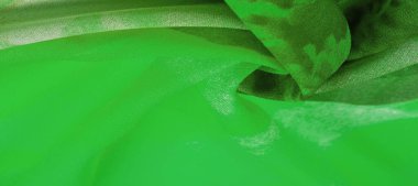 Doku, arkaplan, desen, kartpostal, ipek kumaş, yeşil beyaz çiçekli kadın eşarbı. Muhteşem tasarım çekici arkaplan görüntülerine dayanır. En iyisi olacaksın.