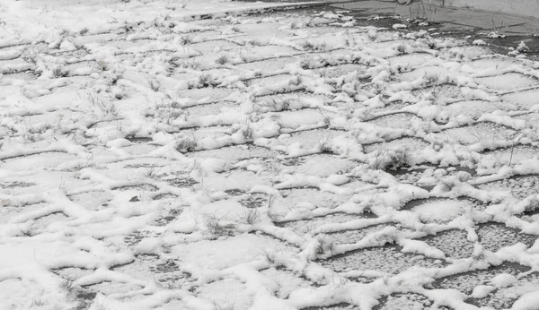 Tenemos Nuestra Primera Nieve Temporada Durante Noche Desempolvando Otoño Con —  Fotos de Stock