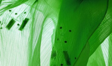 Arkaplan tasarımı dokusu, ipek desen, yeşil kumaş ve dekoratif işlemeli taşlar.