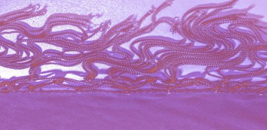 İpek kumaşın arka plan dokusu. Bu doğal mor bir eşarp, şeffaf elli ipek ipekten yapılmış bu güzel naylon saten ve harika bir parıltı projeleriniz için mükemmel..
