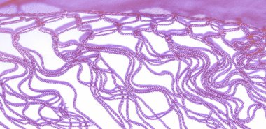 İpek kumaşın arka plan dokusu. Bu doğal mor bir eşarp, şeffaf elli ipek ipekten yapılmış bu güzel naylon saten ve harika bir parıltı projeleriniz için mükemmel..