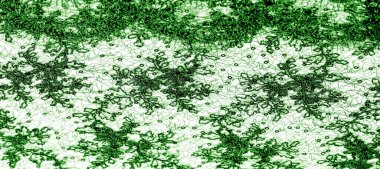 Doku, desen, beyaz bir arka plan üzerinde yeşil dantel kumaş. Bu orta ağırlık ince ve şık dantel ve tasarım için mükemmel, arka planlar için bindirmeler, diğer aksan