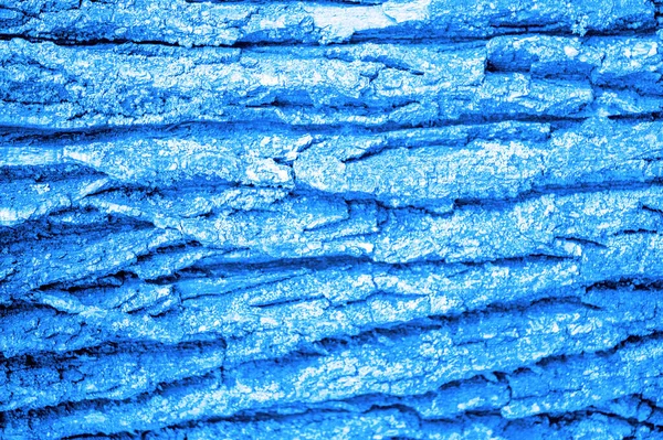 Texture Background Pattern Sensation Appearance Texture Surface Substance Bark Tree — Stock Photo, Image
