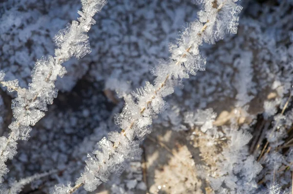 Textur Hintergrund Muster Frost Auf Den Graszweigen Eine Ablagerung Kleiner — Stockfoto