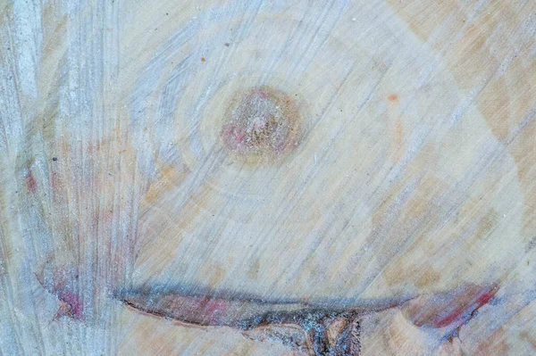 Ein Umgestürzter Baum Ein Baumstumpf Der Untere Teil Eines Baumes — Stockfoto