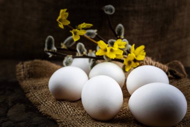Taze organik çiftlik yumurtaları çuval bezi üzerinde, bir taş levhanın üzerinde sabah aydınlatması, yakın çekim, seçici odak, sığ alan derinliği ile karanlık bir zemin üzerinde yatar. Kavram, sağlıklı beslenme, bahar dini