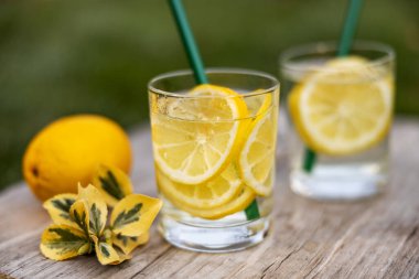 Yaz içeceği, limon dilimleriyle dolu bir bardak su, güneşli sıcak bir günde çimenlikte tahta bir tahta üzerinde durmak, arka plan bulanık, sığ bir alan derinliği, seçici bir odak noktası..