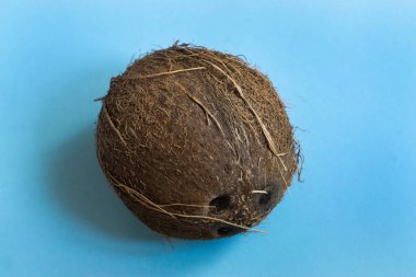 Mavi arkaplanda asgari biçimde hindistan cevizinden yapılmış yaratıcı bir düzen.