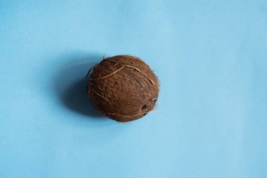 Mavi arkaplanda asgari biçimde hindistan cevizinden yapılmış yaratıcı bir düzen.