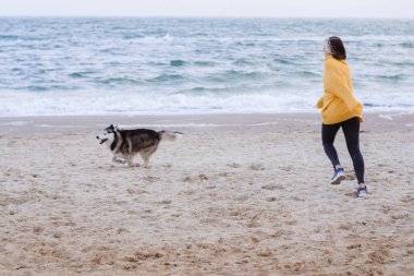 Sarı kazaklı genç bir kadın kumsalda bir köpekle oynar (gri ve beyaz husky)