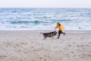 Sarı kazaklı genç bir kadın kumsalda bir köpekle oynar (gri ve beyaz husky)