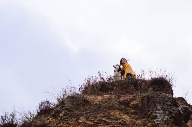 Sarı kazaklı genç bir kadın kumsalda bir köpekle oynar (gri ve beyaz husky)