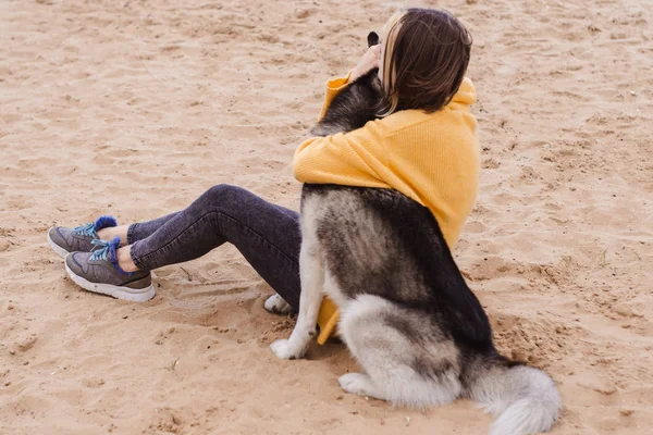 Young Beautiful Woman Yellow Pullover Sweater Plays Dog Grey White — Stock Photo, Image
