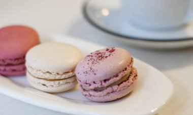 Kurabiyeli bir fincan kahve.