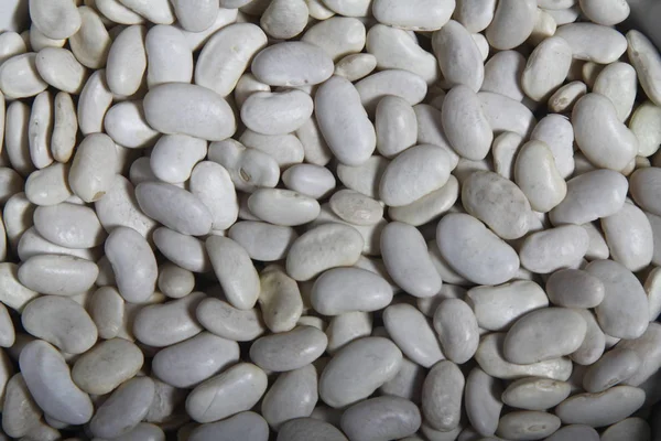 Close Lots White Beans Also Called Navy Bean Haricot Pearl — Stock Photo, Image