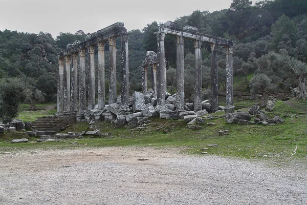 Columnas Del Antiguo Templo Zeus Euromos Eran Una Ciudad Antigua — Foto de Stock