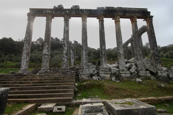 Kolommen Van Oude Tempel Van Zeus Bij Euromos Een Oude — Stockfoto