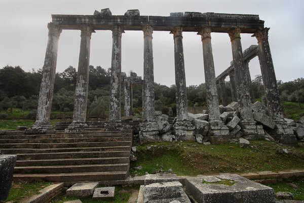 Columns of the ancient temple of Zeus at Euromos was an ancient city in Caria Anatolia Turkey